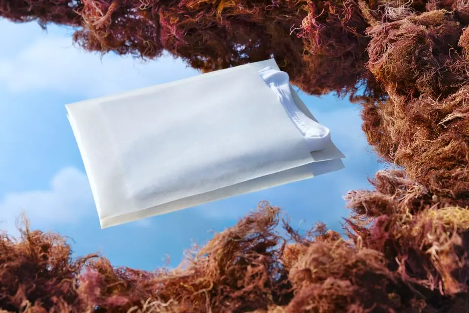Sway home-compostable bag